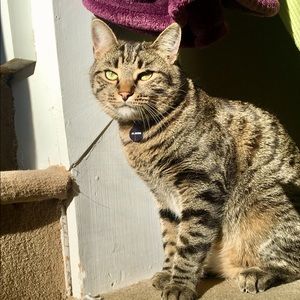 Meet your Posher, Christine